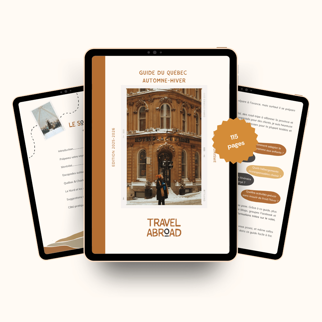 Afrique destination voyage itinéraire safari