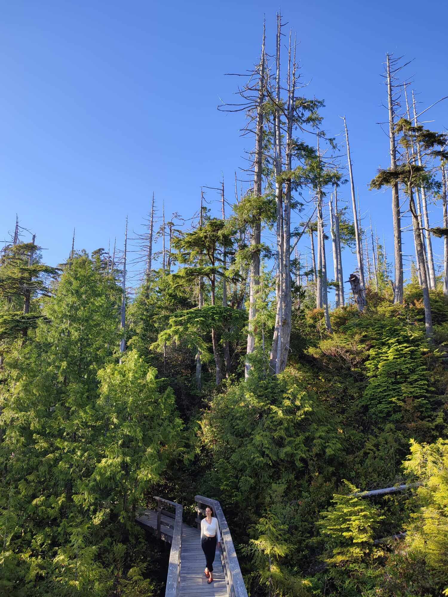 Hot springs cove Tofino