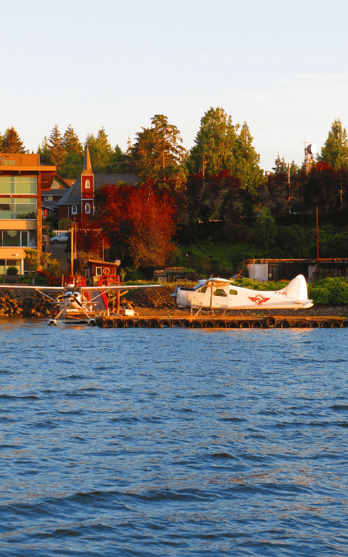 golden hour tofino