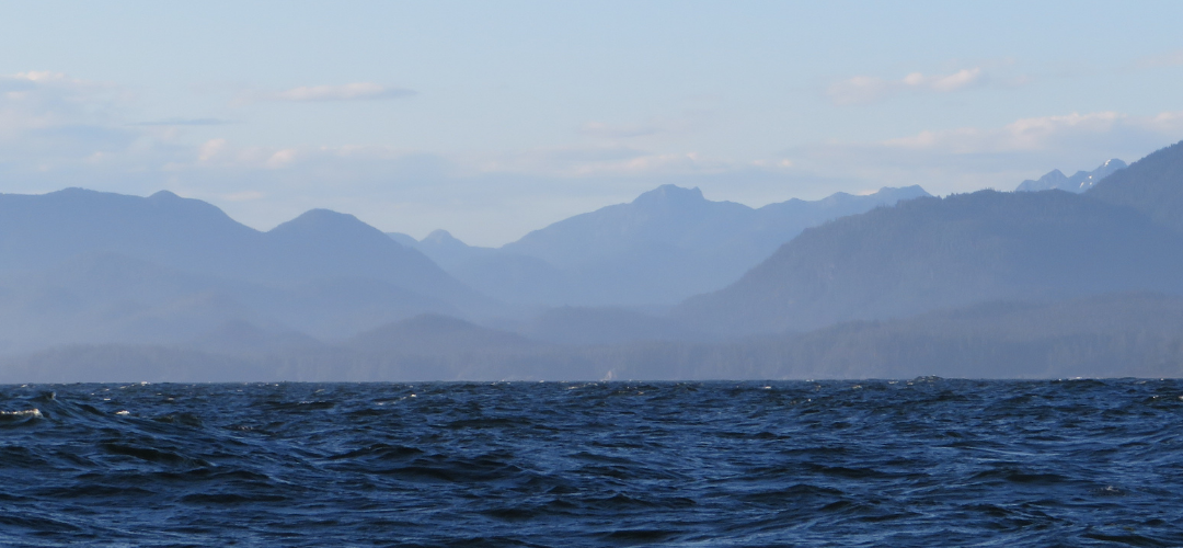 Hot springs cove Tofino : excursion avec Ahous Adventures